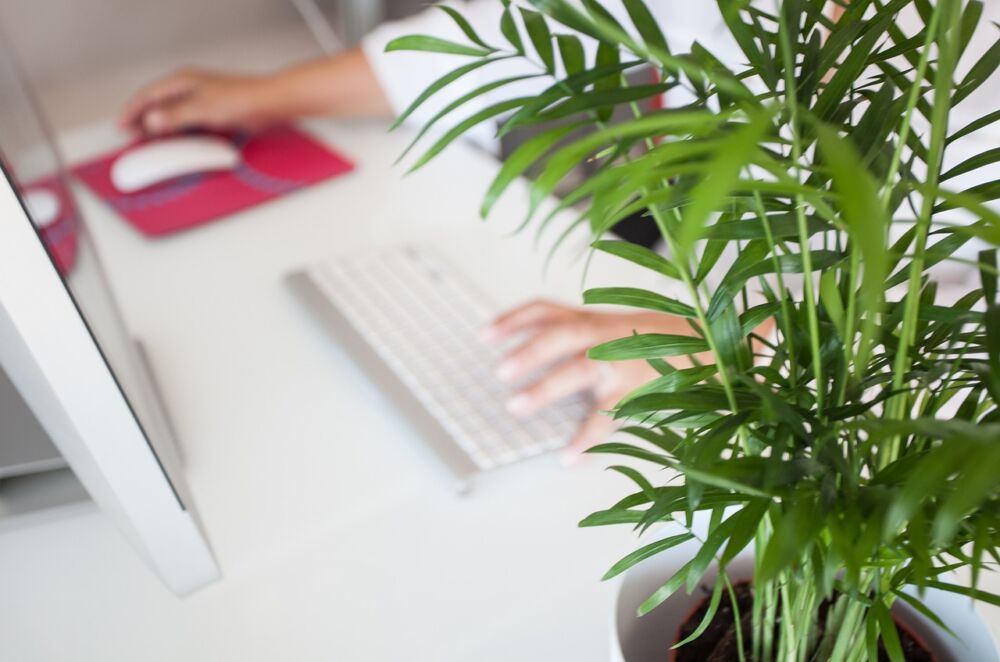 5 Bonnes raisons de faire appel Ă une assistante virtuelle